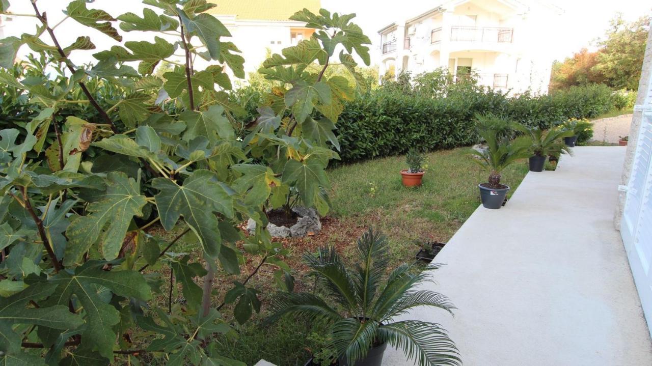 Apartments Jela Sveti Vid-Miholjice 外观 照片